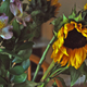 Illustration for article titled A Complete Guide To Buying Her Flowers